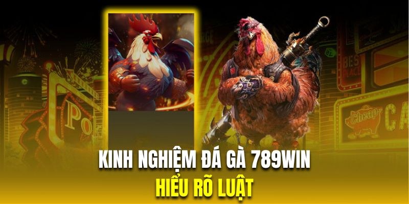 Các mẹo chơi không lo bị lỗ tại sảnh đá gà 789Win