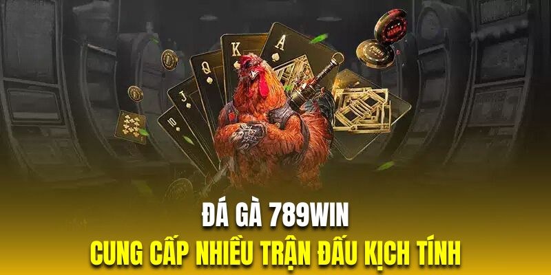 Đá gà 789Win là nơi giải trí an toàn và chất lượng