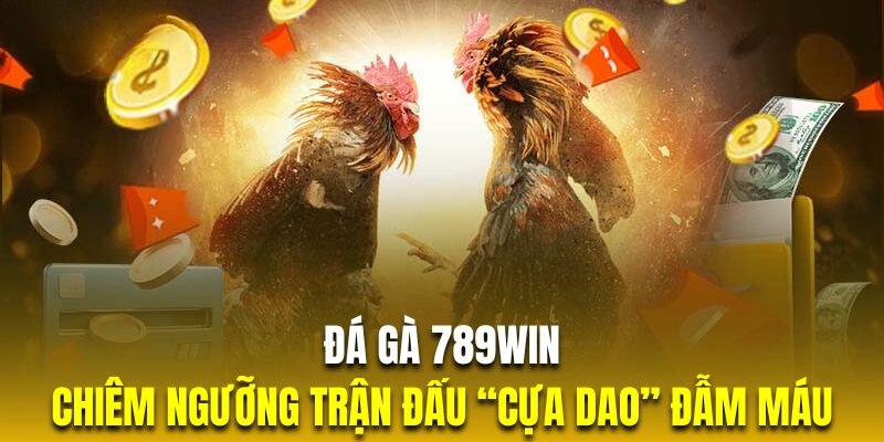 Nhà cung cấp S128 mang đến đá gà 789Win nhiều trận đấu mãn nhãn