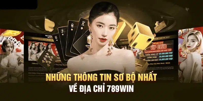 Địa chỉ liên hệ 789Win công khai uy tín tại Việt Nam